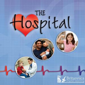 Cover of the book The Hospital by Lynn Stone