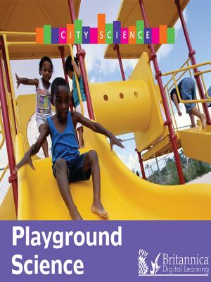 Cover of the book Playground Science by David Abbott
