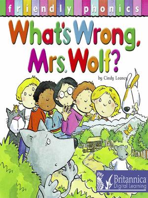 Cover of the book What's Wrong Mrs. Wolf? by Dr. Jean Feldman and Dr. Holly Karapetkova