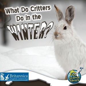 Book cover of What Do Critters Do in the Winter?