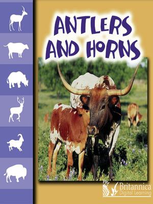 Cover of the book Antlers and Horns by Dr. Jean Feldman and Dr. Holly Karapetkova