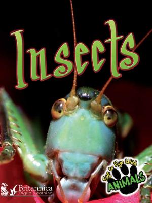Cover of the book Insects by David and Patricia Armentrout