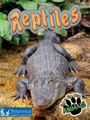 Cover of the book Reptiles by Dr. Jean Feldman and Dr. Holly Karapetkova