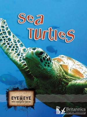 Cover of the book Sea Turtles by P. Whitehouse