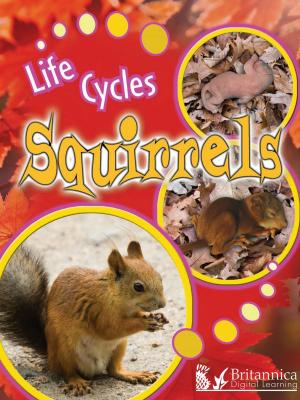 Cover of the book Squirrels by Peter Littlewood