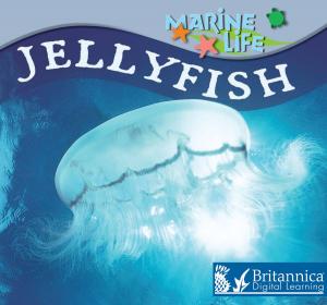 Cover of the book Jellyfish by Luana Mitten