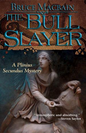 Cover of the book The Bull Slayer by Dianne Salerni