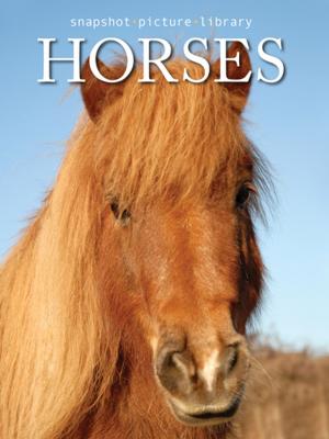 Cover of the book Horses by Kristine Kidd