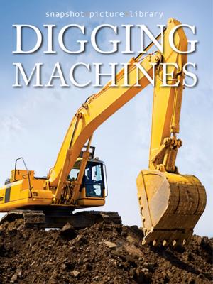 Cover of the book Digging Machines by Brigit Binns