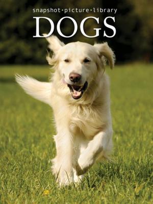 Cover of the book Dogs by Shelly Kaldunski