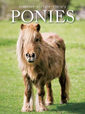 Cover of the book Ponies by Sara Devos