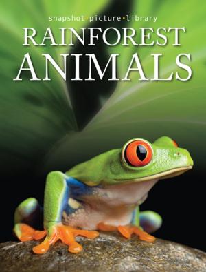 Cover of the book Rainforest Animals by Scott Bestul, Dave Hurteau