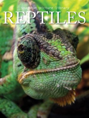 Cover of the book Reptiles by Jordan Bourke, Rejina Pyo