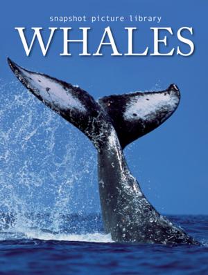 Cover of the book Whales by Tim MacWelch, The Editors of Outdoor Life