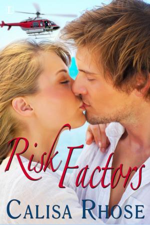 Cover of the book Risk Factors by Terri DuLong