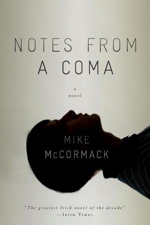 Cover of the book Notes from a Coma by Susan Richards