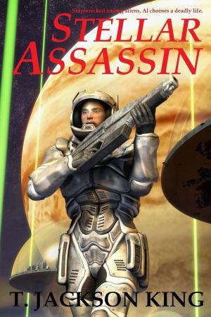 Cover of the book Stellar Assassin by Hendrik de Jong