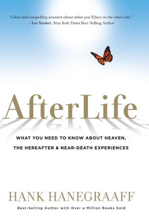 bigCover of the book Afterlife by 