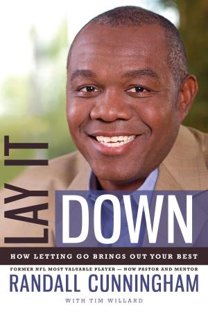 Cover of the book Lay It Down by Jim Gash
