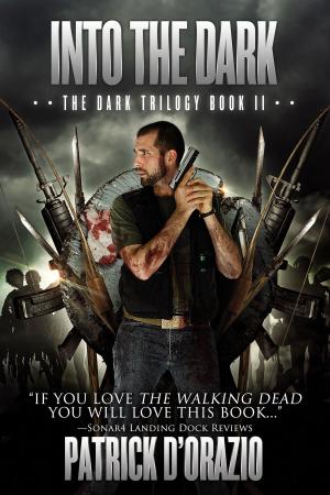 Cover of the book Into the Dark (The Dark Trilogy Book 2) by Derek Gunn