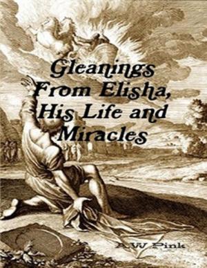 Book cover of Gleanings From Elisha, His Life and Miracles