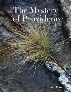 Book cover of The Mystery of Providence