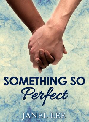 Cover of the book Something So Perfect by Chris Burnham