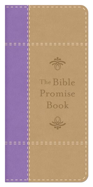 Book cover of The Bible Promise Book [purple]