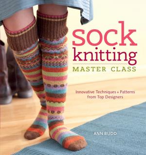 Cover of the book Sock Knitting Master Class by Danny Proulx