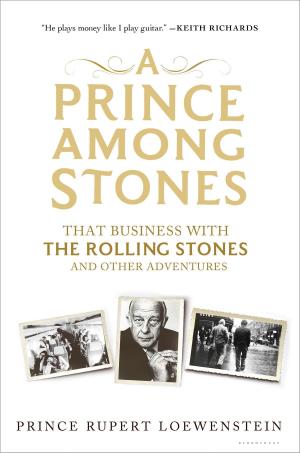 Cover of the book A Prince Among Stones by Linda Kelly