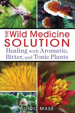 Book cover of The Wild Medicine Solution