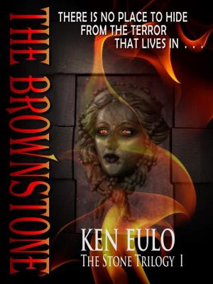 bigCover of the book The Brownstone by 