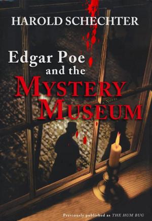 Cover of the book Edgar Poe and the Mystery Museum by David Samuel Levinson