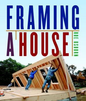 Cover of the book Framing a House by Bruno Guillou, François Roebben, Nicolas Sallavuard, Nicolas Vidal
