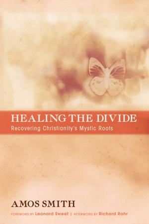 Cover of the book Healing the Divide by Donald Phillip Verene