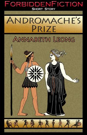 Cover of the book Andromache's Prize by Jacqueline Brocker