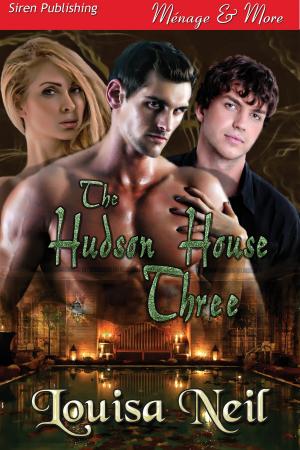 Cover of the book The Hudson House Three by Stormy Glenn