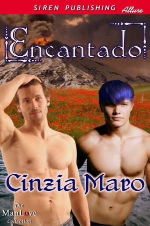 Cover of the book Encantado by Pat Cunningham