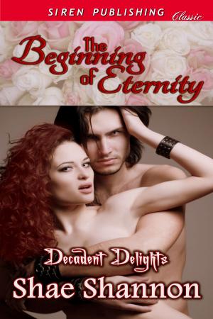 Cover of the book The Beginning of Eternity by Stormy Glenn