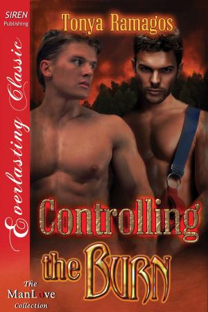 Cover of the book Controlling the Burn by Charlotte Lamb