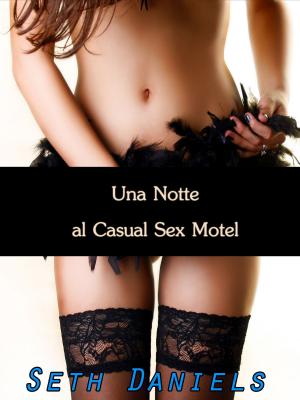 Book cover of Una Notte al Casual Sex Motel