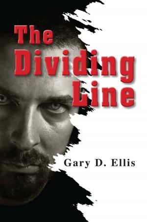 Cover of the book The Dividing Line by Audrey Borschel