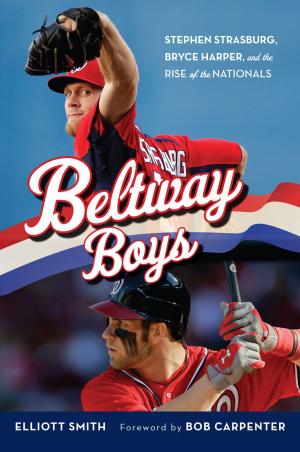 Cover of the book Beltway Boys by MIKE - aka Mike Raffone