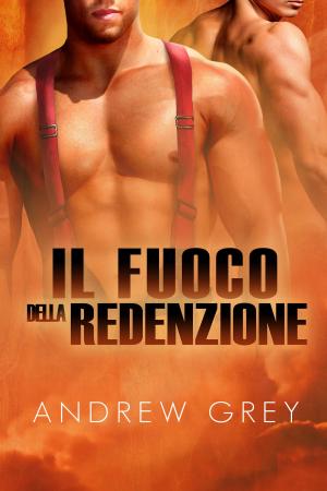 Cover of the book Il fuoco della redenzione by Michael Rupured