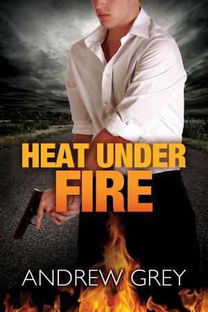 Cover of the book Heat Under Fire by Rick R. Reed