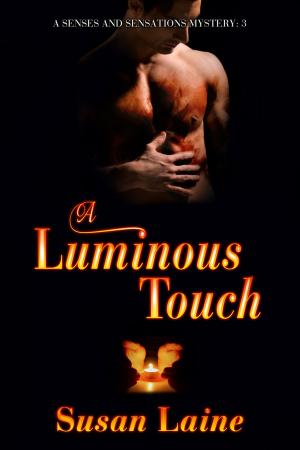 Cover of the book A Luminous Touch by Laura VanArendonk Baugh