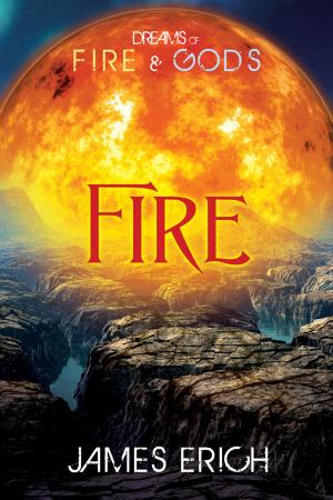Cover of the book Dreams of Fire and Gods: Fire by Ariel Tachna