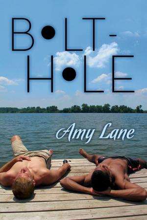 Cover of the book Bolt-hole by Amy Lane