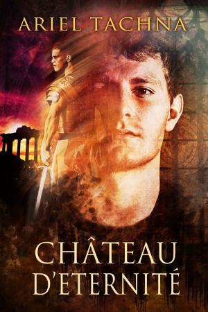 Cover of the book Chateau d'Eternité by Nicki Bennett, Ariel Tachna