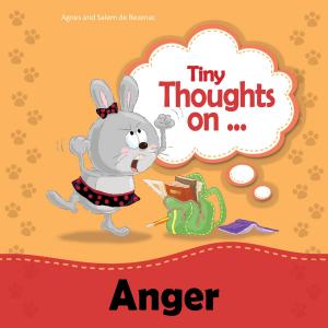 Cover of the book Tiny Thoughts on Anger by Agnes de Bezenac, Salem de Bezenac